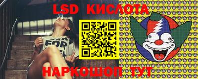 крисы Балахна