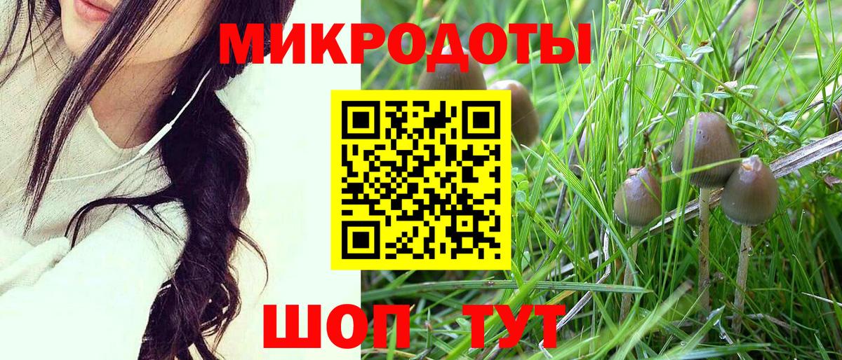 Псилоцибиновые грибы MAGIC MUSHROOMS  Галлюциногенные грибы мухоморы  Вход с VPN  Бийск 