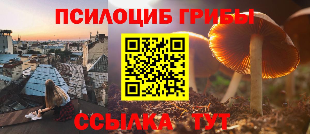 Псилоцибиновые грибы GOLDEN TEACHER Бийск